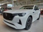 Mazda CX-60, 3,3 D AWD 8AT HOMURA, SUV, nafta