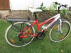 Author Ultima 24"