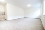 Pronájem 1KK, Křenová, Brno