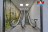 Obchod a služby, 1603 m², Plzeň 
