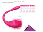 Luxusní vibrátor bluetooth Koyoo