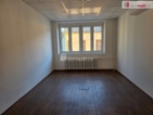 Pronájem komerčního prostoru, 250 m
