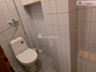 Pronájem komerčního prostoru, 250 m
