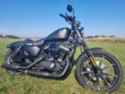Harley-Davidson XL 883N Sportster Iron, chopper