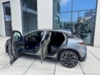 Renault Mégane, hatchback, elektro