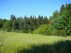 Prodej rekreačního komplexu bývalého mlýna, 4 stavby, výměra pozemků 133.323 m2, Petrovice u Štoků