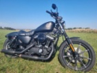 Harley-Davidson XL 883N Sportster Iron, chopper