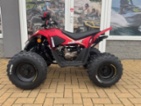 Linhai, rok výroby 2026, objem 110 ccm, výkon 0 kW
