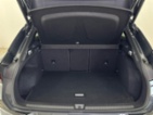 Cupra Terramar, SUV, SUV, benzin