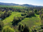 Unikátní soubor pozemků téměř 60.000 m² ve Stružnici u řeky Ploučnice – stavební část, louka a les.