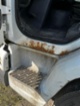 DAF, izotherm