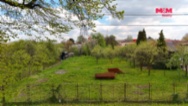 Prodej komerčního pozemku, 1334 m², Ostrava