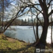 Prodej pozemku 680 k rekreační výstavbě, Letovice