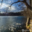 Prodej pozemku 680 k rekreační výstavbě, Letovice