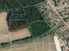 Prodej lesních pozemků a orné půdy v k.ú. Rybitví