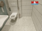 Prodej komerčních prostor, 80 m², Opava 