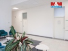 Prodej komerčních prostor, 80 m², Opava 