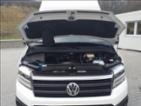 Volkswagen, nafta