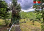 Prodej chaty, 40 m², zahrada, Litoměřice