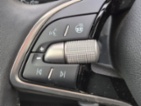 Škoda Fabia, Top Selection 1.0 TSI 85 kW 6°,