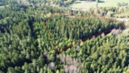 Prodej, lesní pozemek 32.111 m2, Bednáreček