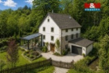 Prodej bývalého mlýnu, Černíny - Bahno