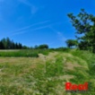 Prodej, pozemek pro bydlení, CP 3053 m2, obec