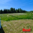 Prodej, pozemek pro bydlení, CP 3053 m2, obec