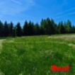Prodej, pozemek pro bydlení, CP 3053 m2, obec