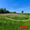 Prodej, pozemek pro bydlení, CP 3053 m2, obec