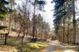 Prodej chaty u lesa, Kladruby - Hřešihlavy, užitná plocha 84 m2, pozemek 1 216 m2