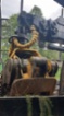 PONSSE elephant22.8t vyvážečka, nafta