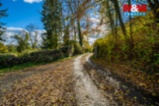 Prodej komerčního objektu, 700 m², Krnsko