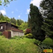 Borač, chata 1+kk, pozemek 766, zahrada – chata