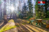 Prodej chaty, 59 m², Nová Bystřice