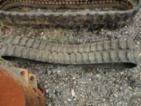 Pás na Bobcat Ostatní 0 kW, barva neuvedeno, 250 x