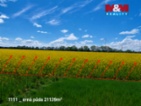 Prodej pozemků 151762 m², Pňov-Předhradí
