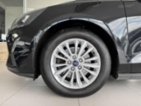Ford Focus, 1,5EB*88kW*AUT*Titanium*Kamera, kombi,