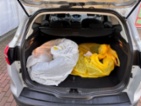 Ford Focus, 1.5 TDCi Titanium, ČR, 1.Maj, kombi,