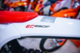 GASGAS EC 250 F, enduro silniční