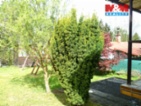 Prodej chaty, 48 m², se zahradou, Stříbrná Skalice