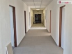 Pronájem komerčního prostoru, 15 m2