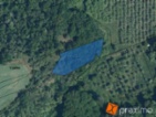 Prodej 1/8 pozemku 294 m2.