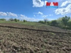 Prodej ovocného sadu, 3033 m², Pasohlávky