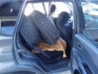 Hyundai Tucson, 2,0i 104kW LPG, + SADA, SUV,