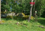Prodej lesa, 7042 m², Petrovice