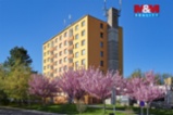 Byt 3+1, 81 m², Třemošnice, ul. 1. máje