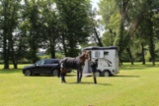 Pro přepravu koní Touring Country, ČERNÝ, Přívěs