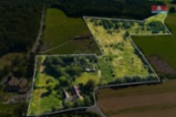 Prodej zemědělské usedlosti, 301 m², Obora u Hracholusk
