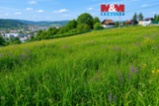 Prodej pozemku k bydlení, 5240 m², Ústí nad Labem-Hostovice